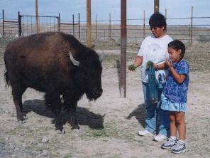  -- &copy; Te-Moak Tribe of Western Shoshone