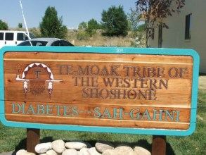  -- &copy; Te-Moak Tribe of Western Shoshone